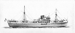 1950 - Maria Fausta G